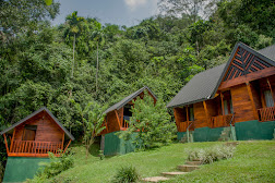 Arana Resort